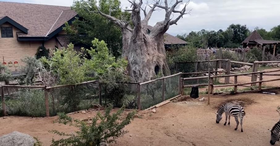 Cheyenne Mountain Zoo