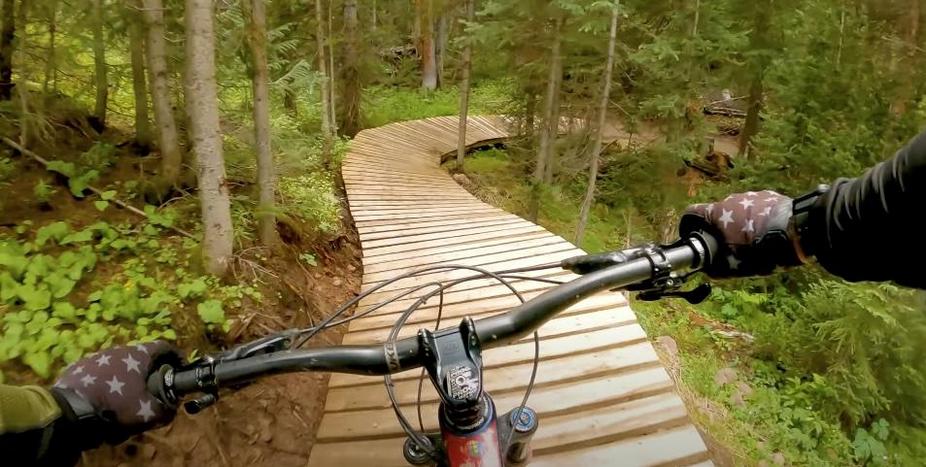Cyclist's perspective on a wooden trail.