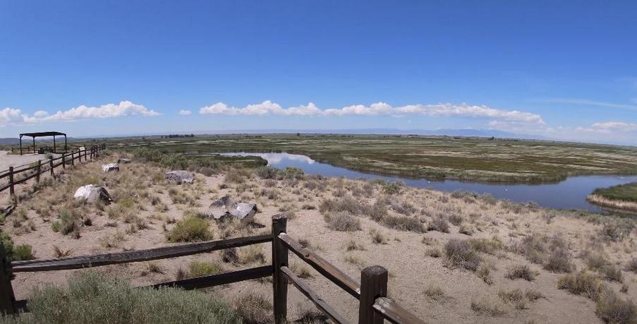 Alamosa National Wildlife Refuge